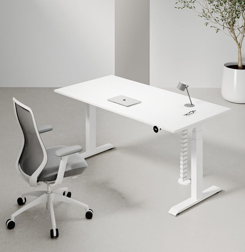 Max Series Dual Motor Electric Height Adjustable Standing Desks
